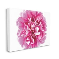 Stupell Industries Pink Pop Flower latice Pink Curves fotografija platno zid Art dizajn Elise Catterall, 36 48