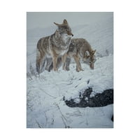 Zaštitni znak likovne umjetnosti' zimska oluja kojota ' platnena Umjetnost Rona Parkera