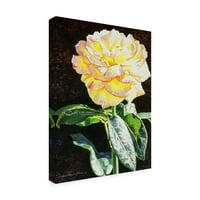 Zaštitni znak Likovna umjetnost' Ponoćna ruža ' platnena Umjetnost Davida Lloyda Glovera