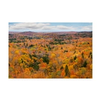 Zaštitni znak likovne umjetnosti' jesen paleta Marquette Michigan boja ' platno Art Monte Nagler
